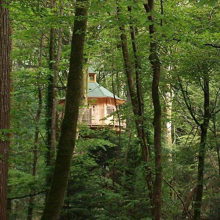 Les Cabanes De Kermenguy Cleder Phòng bức ảnh