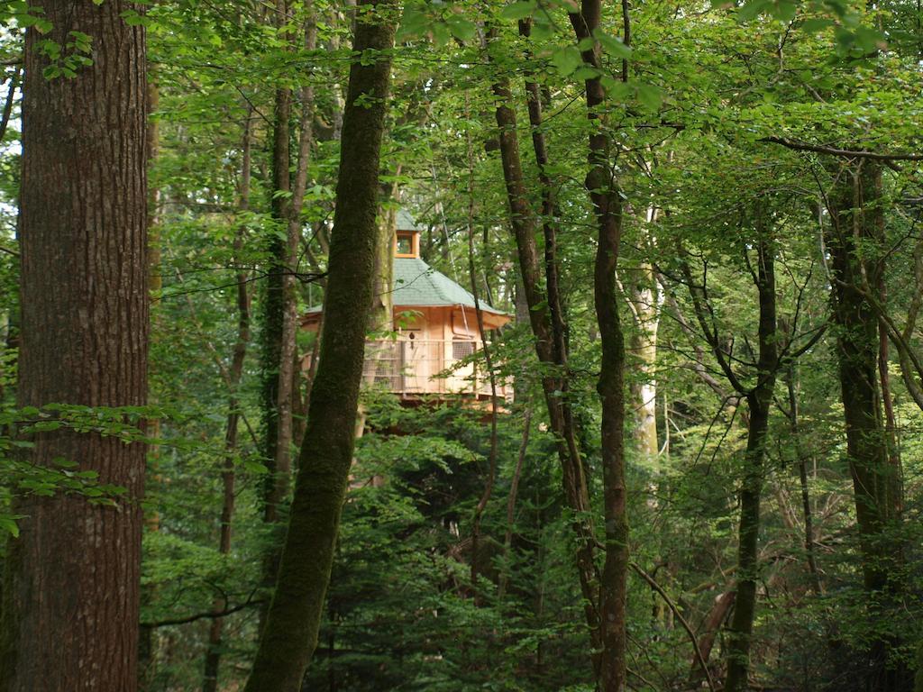 Les Cabanes De Kermenguy Cleder Phòng bức ảnh